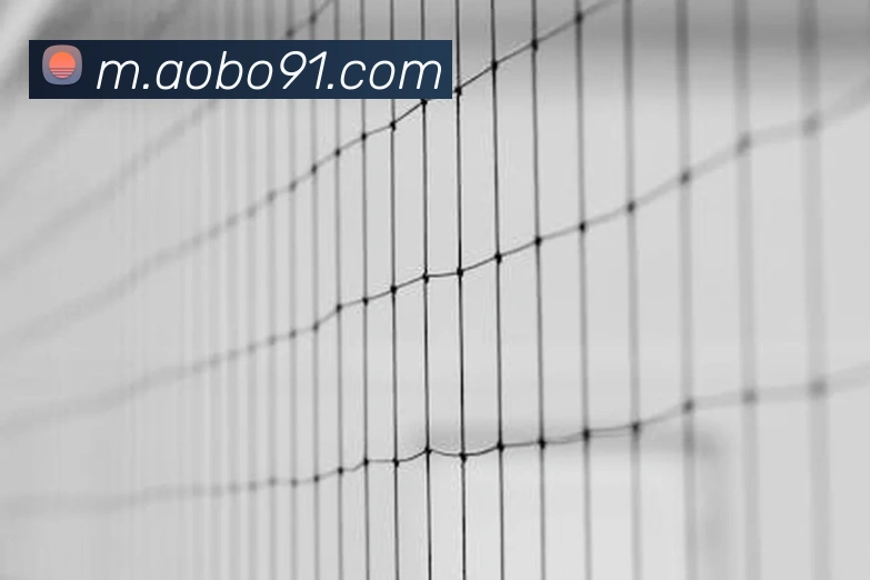 对战数据统计